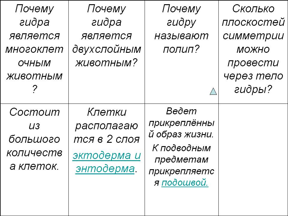 Где взять ссылку на кракен