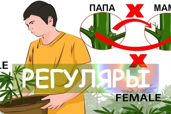 Кракен сайт даркнет