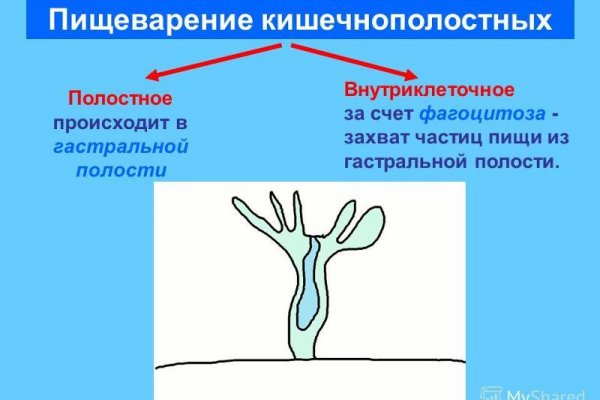 Кракен открылся