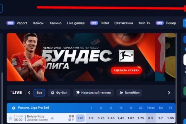Гидра и кракен