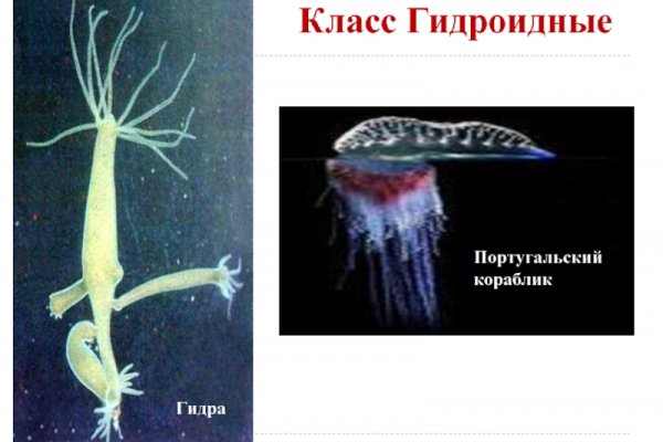 Kraken clear ссылка