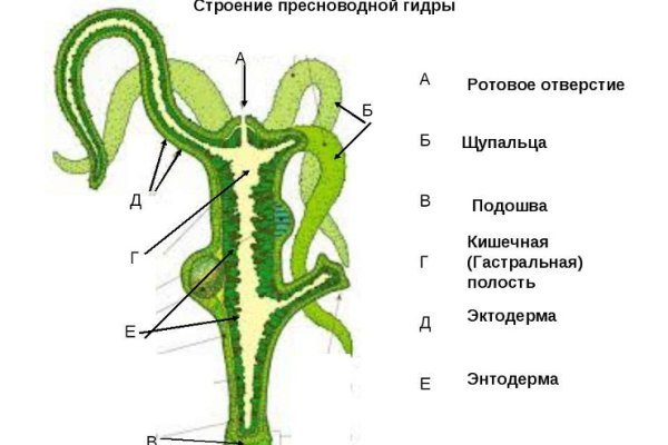 Как вывести с кракена