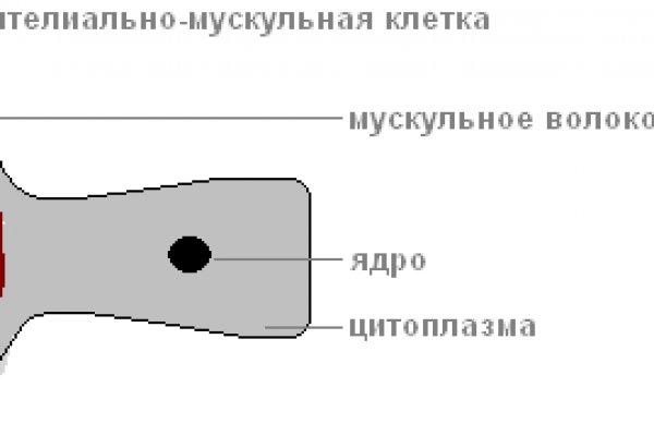 Ссылка на кракен krawebes