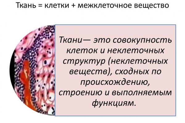 Kraken официальный сайт ссылка через tor