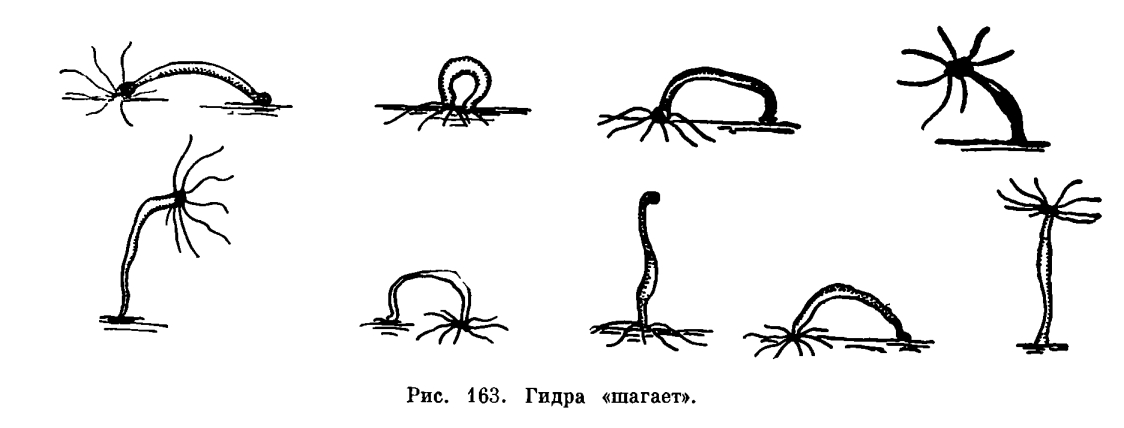 Ссылка на kraken торговая площадка